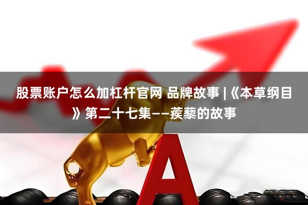 股票账户怎么加杠杆官网 品牌故事 |《本草纲目》第二十七集——蒺藜的故事